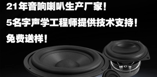 国内喇叭市场 vs 国外喇叭市场