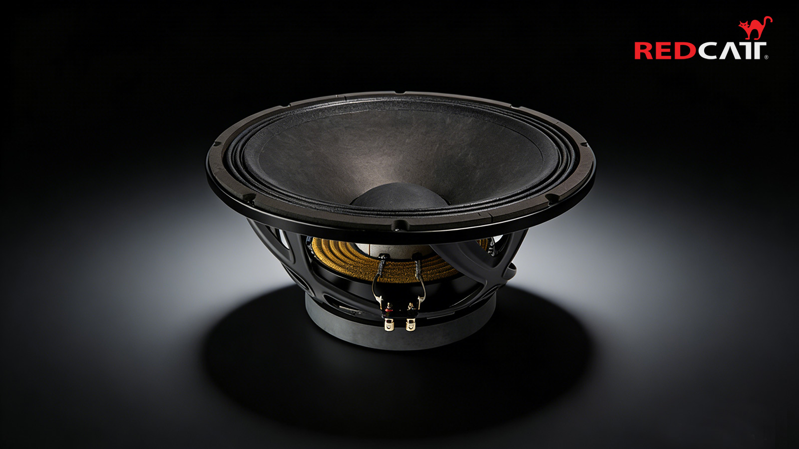 186FIND_适用于专业扩声与低频系统的18英寸大功率低音扬声器